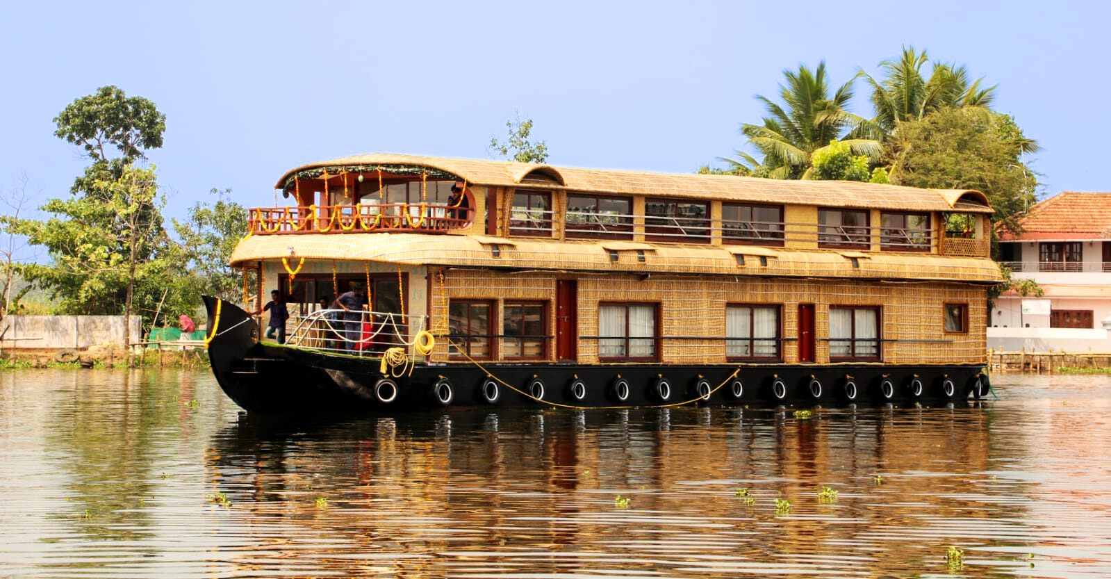 dd401f8e-8009-4675-9f3c-f8999bf7eb4e